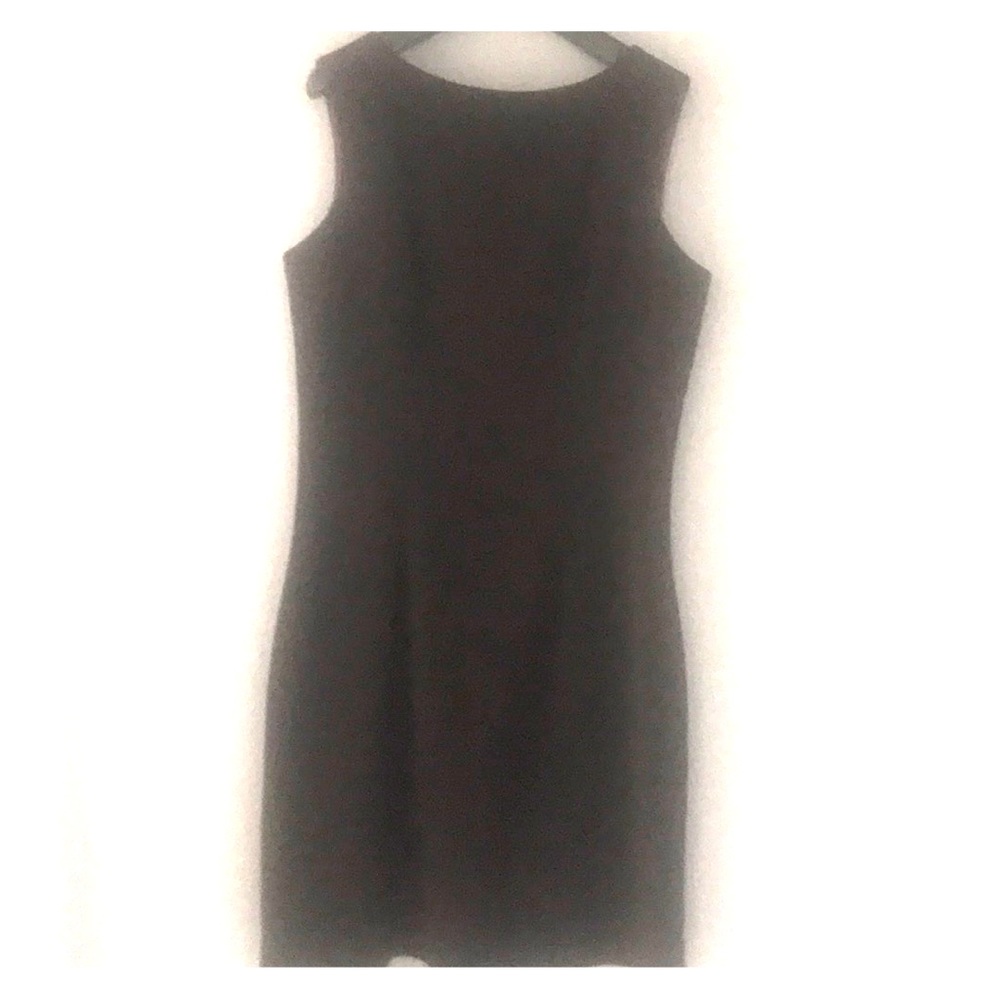 Gia and Co. “little brown sexy dress” (size 2)